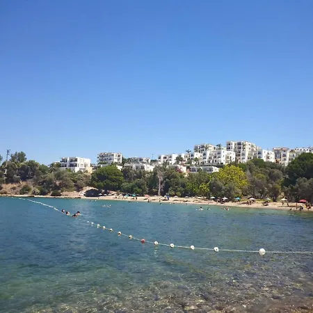 Seaview 1 Apartman Gulluk