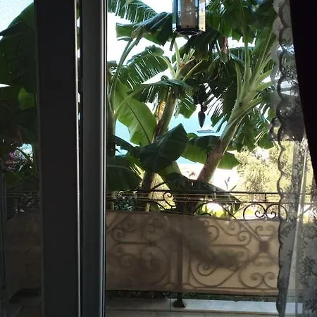 Seaview 1
