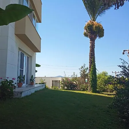 Seaview 1